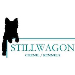 Chenil Kennels Stillwagon