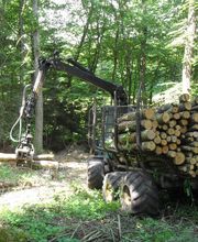 Lenoir Jean-Stephane image 1