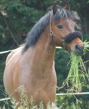 Fumey Frédéric image 3