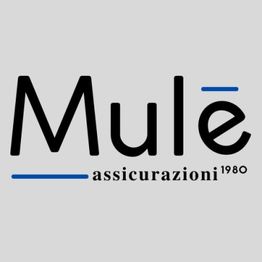 Giovanni A. Mulé - Assicurazioni logo