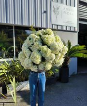 Atelier Flore image 4
