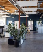 DOC Reinigungen GmbH Bild 12