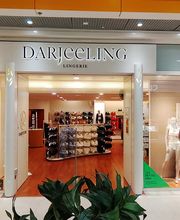 Darjeeling Flers-en-Escrebieux image 1