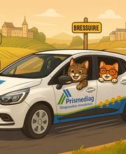 Prismediag - Diagnostics Immobiliers - Thouars - Saumur - Parthenay - Bressuire - Mauléon image 9