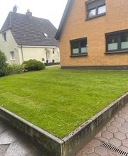 BSG Baumpflege Service Gärtner Bild 7