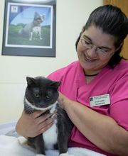 Animal Care Hospital of Morris Inc image 10