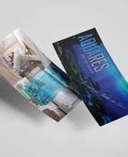 Werbeagentur Weidemann Bild 1