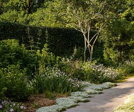 Mint Gardens Bild 10