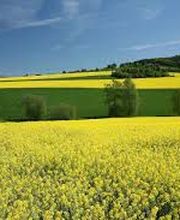 Tarlé Distribution image 3