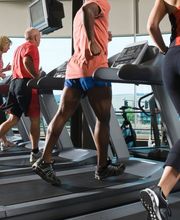 La Palestra di Emilia immagine 2