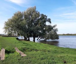 Anne Rodenburg Praktijk aan de Maas Den Bosch
