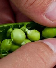 Barilla Sandrine Cabinet de Diététique image 3