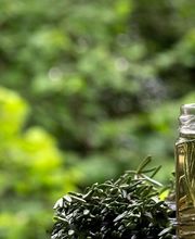 Apotheke Dr. Küpfer AG Bild 1