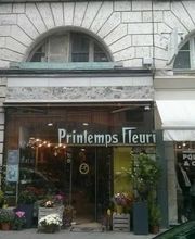 Printemps Fleuri image 4