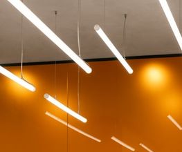 Óptica Verdi - Ace & Tate