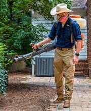 Bizzy Bee Exterminators image 2
