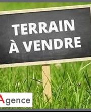 Castro-Cintas Bruno image 6