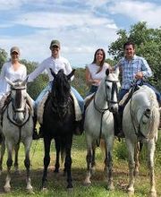 Picadero Escuela Las Cruces imagen 2