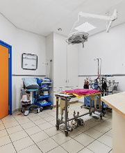 Salle d'opérations - Cabinet vétérinaire des Deux communes - Dr. Doris Hugi