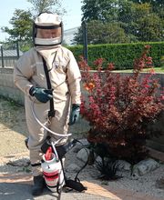 Bresse Nuisibles image 17