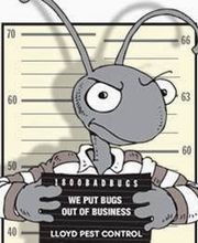 Lloyd Pest & Termite Control image 6