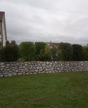 Mémoires d'Arbres Bild 11