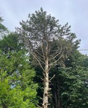 BCH Paysage image 14