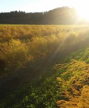 Biohof Schär Matthias & Corinne Bild 2