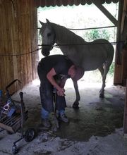 Henrotay Gilles image 4