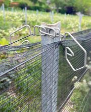 S . C . D . C image 5