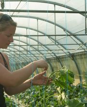 SAS Boxf@rmer à Castelnaudary image 2