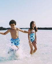 Cruise 26 Collection