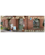Blumeneck Brondke Bild 1