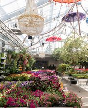 Waffenschmidt AG Bild 13