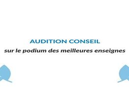Audition Conseil image 5