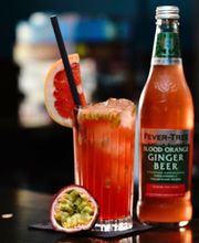 Das Tollkühn Bild 12