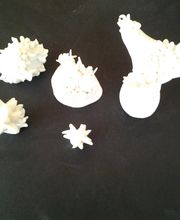 Reflets d'Ocres image 18