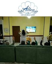 Gallery Cliente