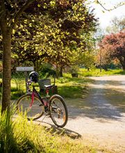 Le Domaine de La Barre Saint-Michel image 4