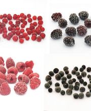 Baier Georg GmbH Bild 6