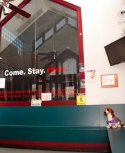 Levittown Animal Hospital image 8