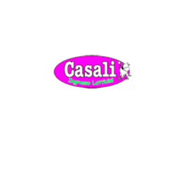 Casali logo