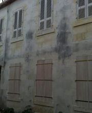 Shad Peinture image 15