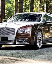 365 Limo Denver image 16