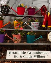 Toboggan Run Dental image 2