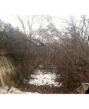Clay's Brush Stump & Tree Removal LLC. image 3