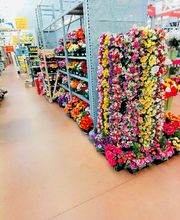 Bricomarché Saint-Jean-De-Muzols image 5