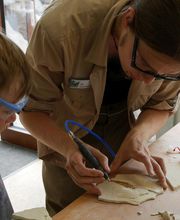 Im PaleoLab: Mit dem Druckluftstichel lassen sich feinste Details eines Fossils herausarbeiten