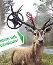 LVM Versicherung Dirk Mümken – Versicherungsagentur Bild 1
