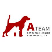 A-Team Désinfection